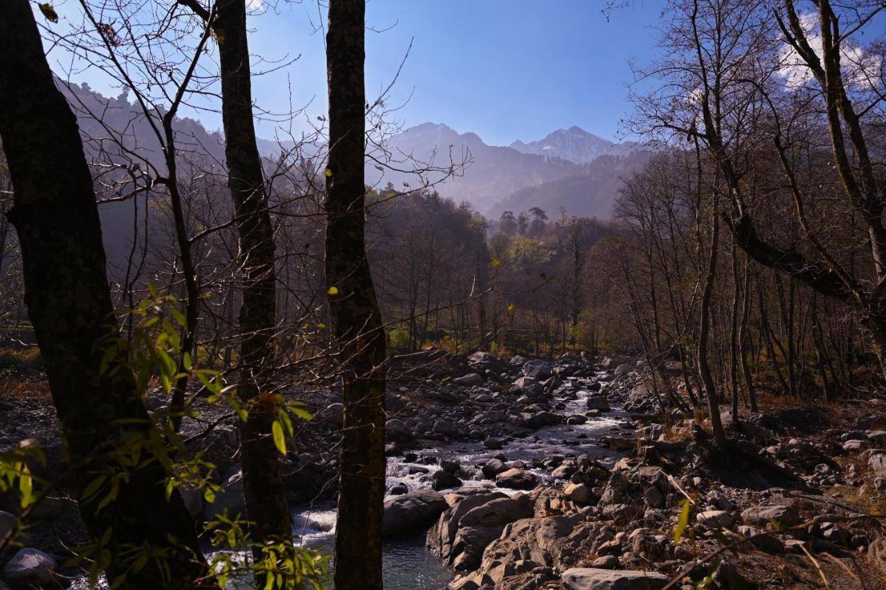 A Pousada Zostel Dobhi, Manali Nagar  Exterior foto