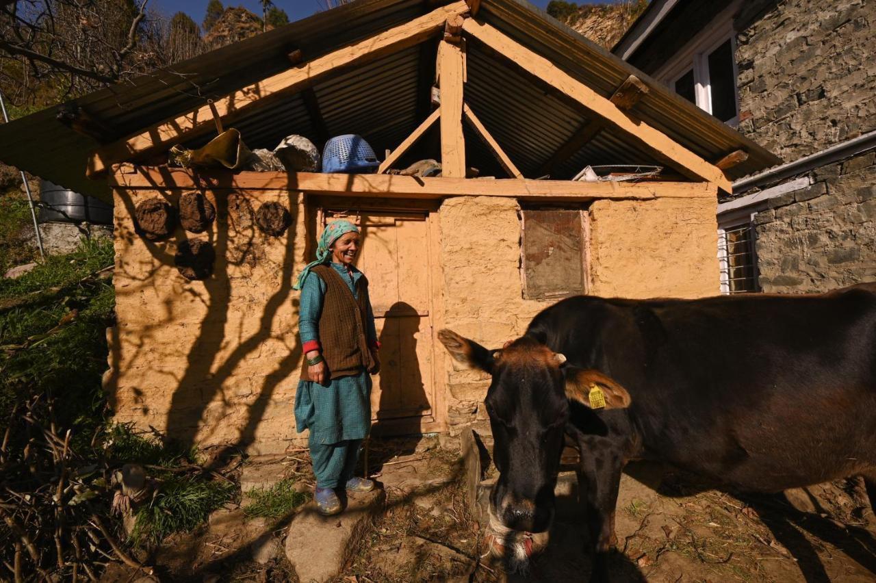 A Pousada Zostel Dobhi, Manali Nagar  Exterior foto