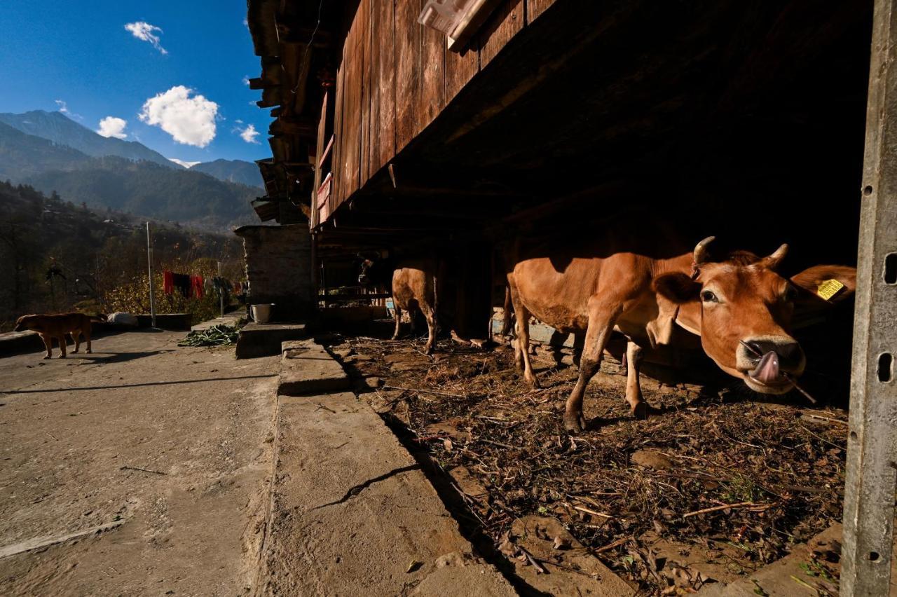 A Pousada Zostel Dobhi, Manali Nagar  Exterior foto