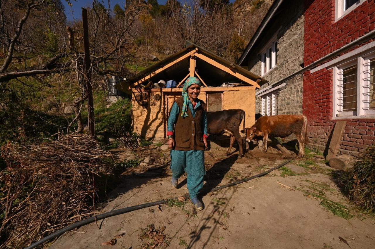 A Pousada Zostel Dobhi, Manali Nagar  Exterior foto