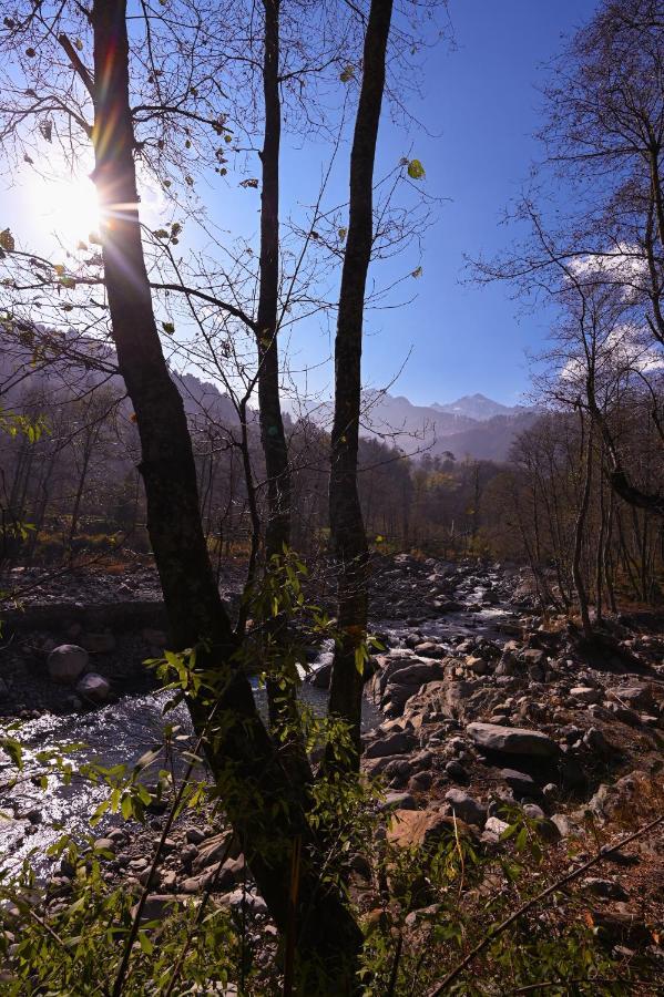 A Pousada Zostel Dobhi, Manali Nagar  Exterior foto